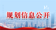 规划信息公开